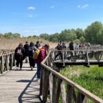5. nap_Eszék, Kopács, Vardaróc (26)